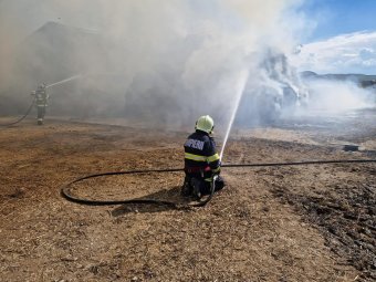 Lángoltak a szalmabálák, menekítették a szarvasmarhákat