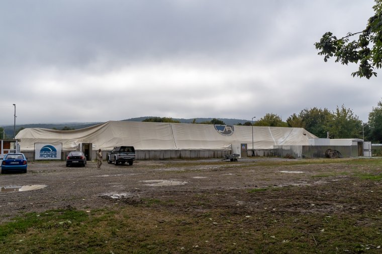 Sátortetőt bontott, fákat csavart ki a vihar