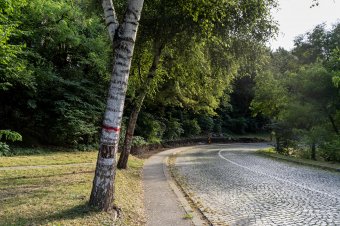 Két kilométer bicikliút, ötven kivágott fa