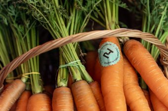 Elkészült a Nyárádmenti termékvédjegy, több száz termelő útját egyengetik