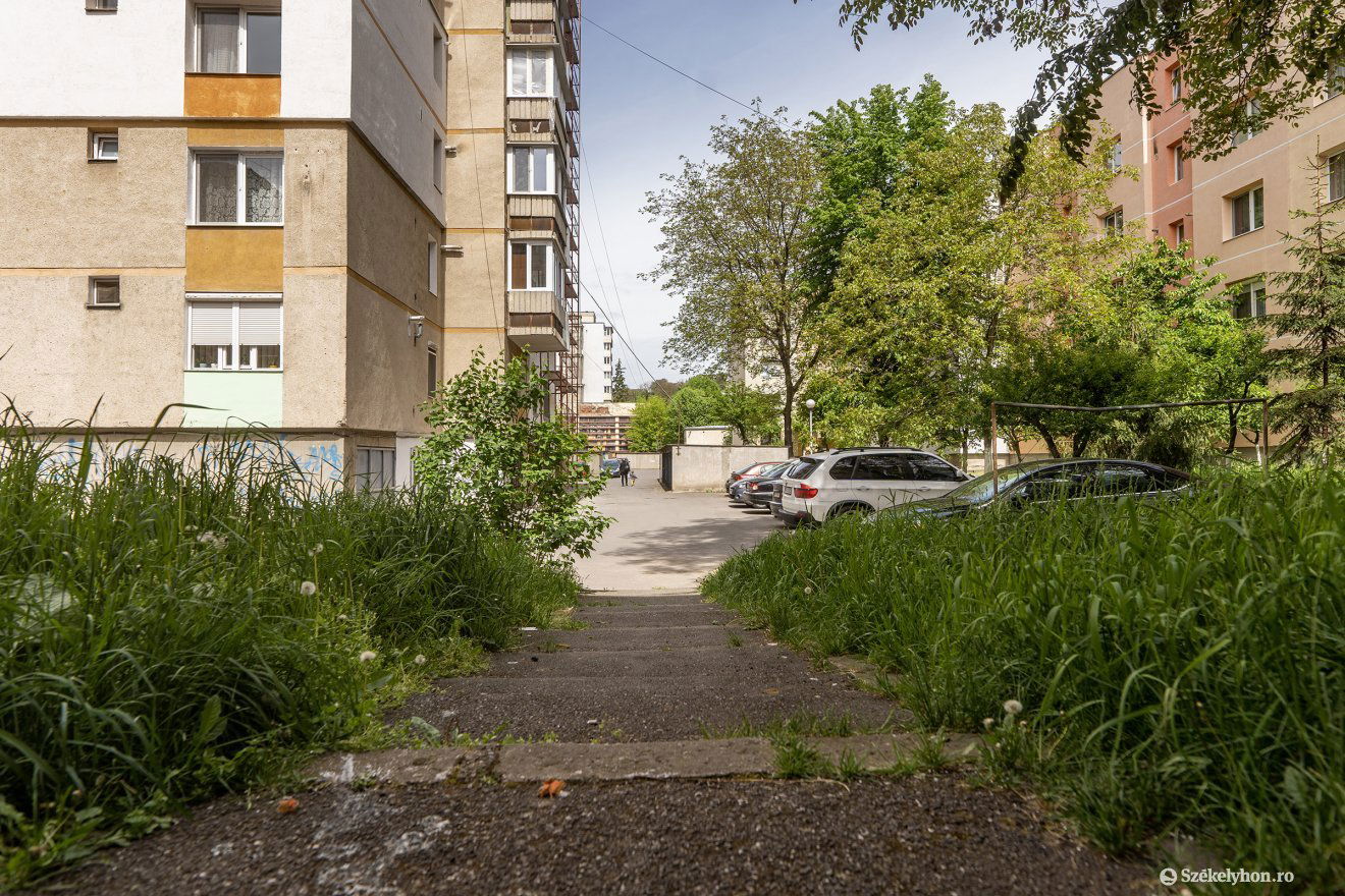 Van, ahol a tömbházlakók levágják a füvet, de a legtöbb helyen várják a városházát •  Fotó: Haáz Vince