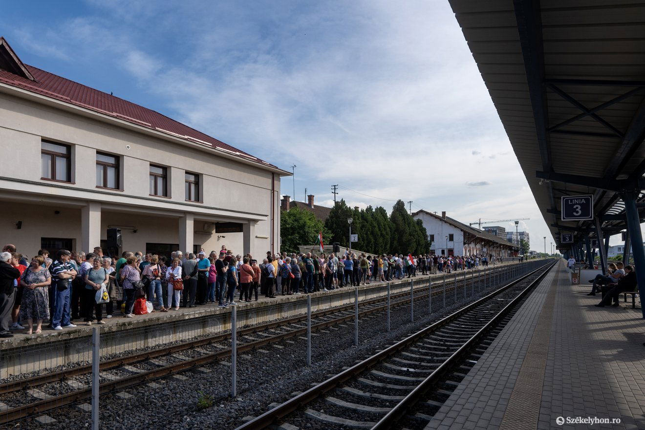 •  Fotó: Haáz Vince