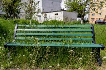 Úgy nő a fű, hogy nem tudnak lépést tartani a nyírással