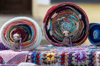 Lajhár lesz a fesztiválállata az idei Kultfesztnek Marosvásárhelyen