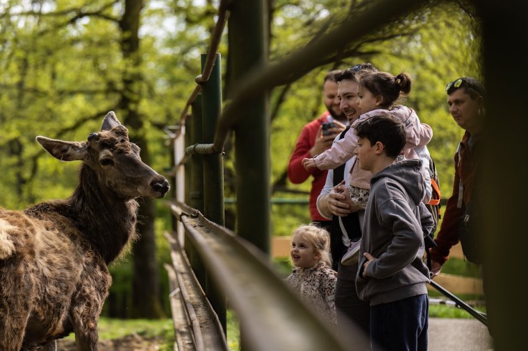 A hosszú hétvégén is nyitva lesz a marosvásárhelyi állatkert