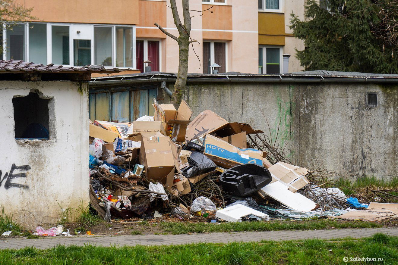Marosvásárhely, Tudor lakótelep, hétfőn délben •  Fotó: Haáz Vince