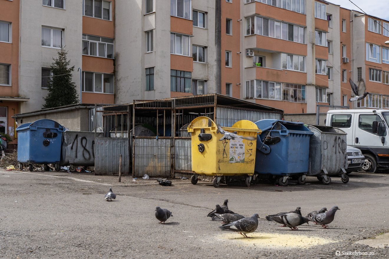 Van, ahonnan hétfőn délelőtt elszállították a szemetet •  Fotó: Haáz Vince