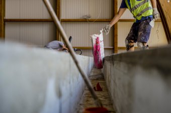 A világ egyik vezető építőanyag-gyártója vásárolt be Romániában