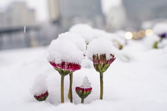 Amikor nem Csíkszeredát, és még csak nem is Székelyföldet említik a leghidegebbnek