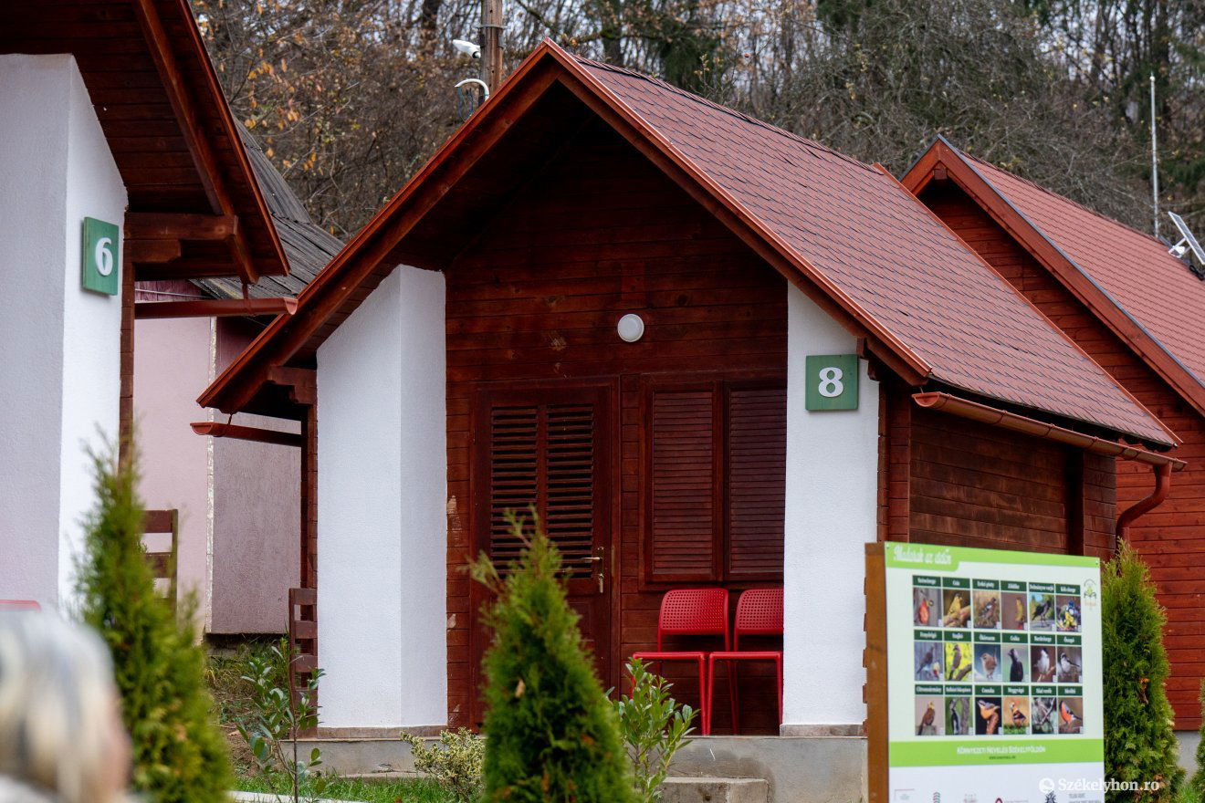 •  Fotó: Haáz Vince