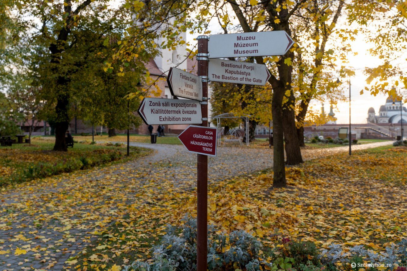 •  Fotó: Haáz Vince