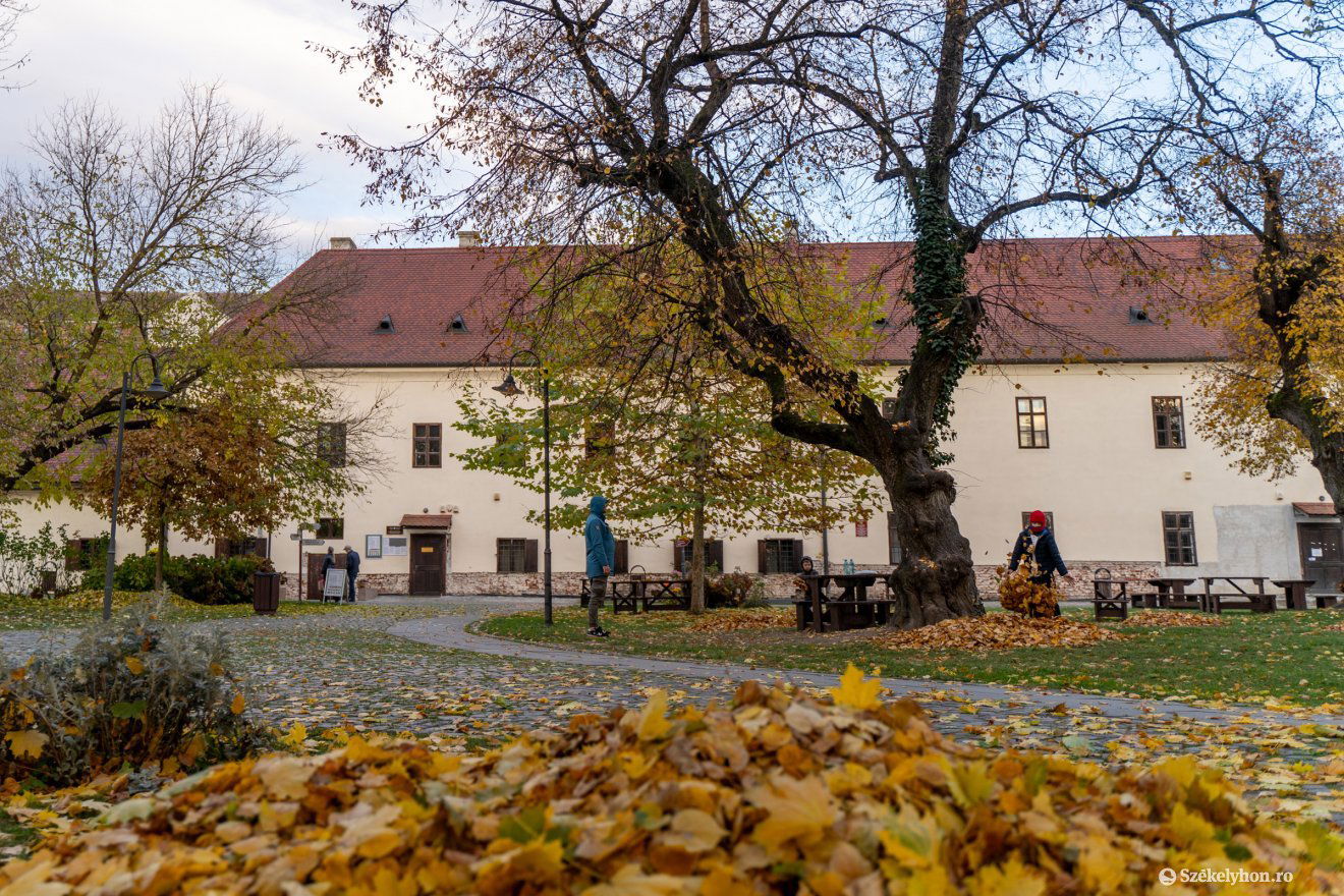 •  Fotó: Haáz Vince