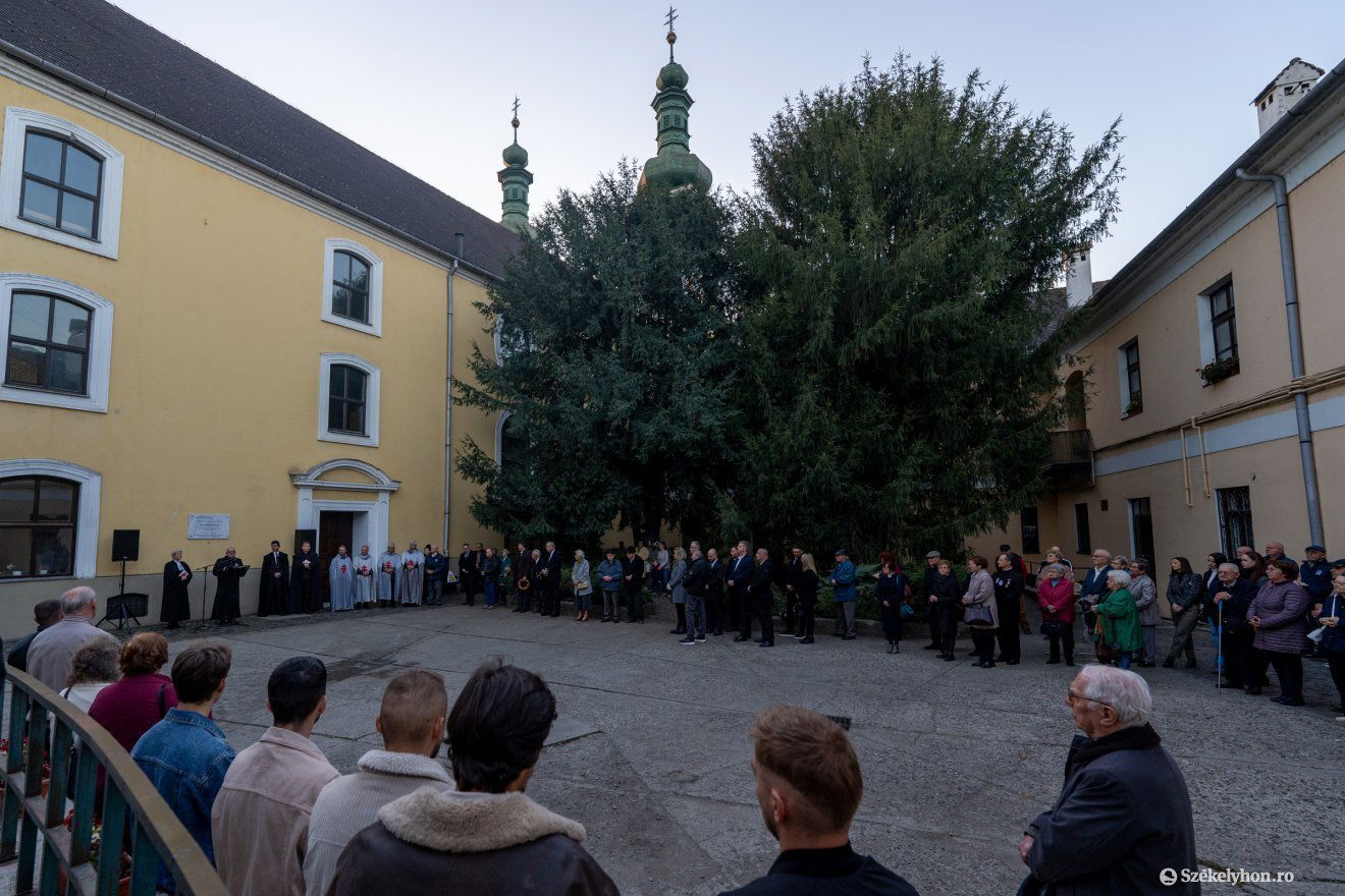 •  Fotó: Haáz Vince