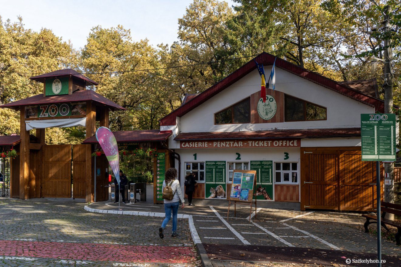Az meleg őszi napokon is vannak látogatók •  Fotó: Haáz Vince
