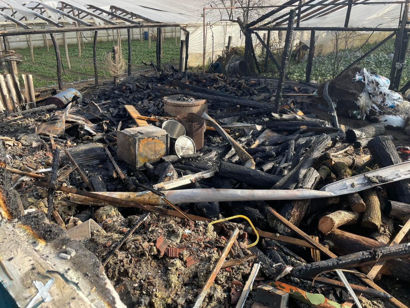 &bullet;  Fotó: RMGE Maros