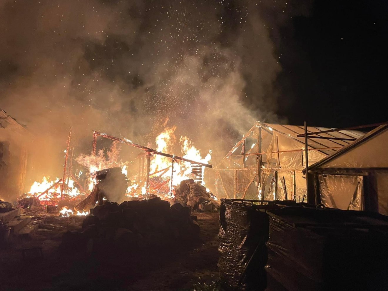 &bullet;  Fotó: RMGE Maros