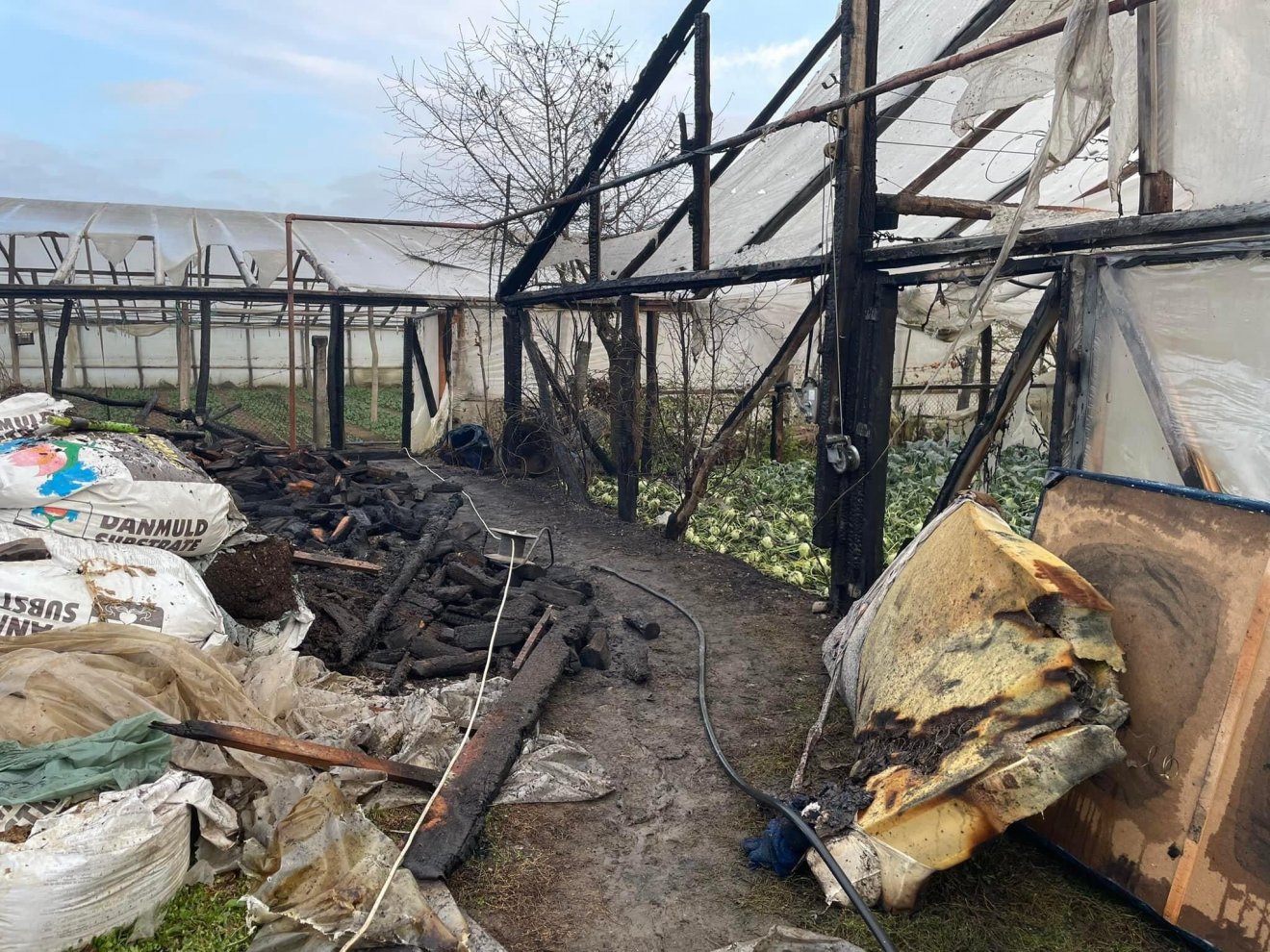 &bullet;  Fotó: RMGE Maros