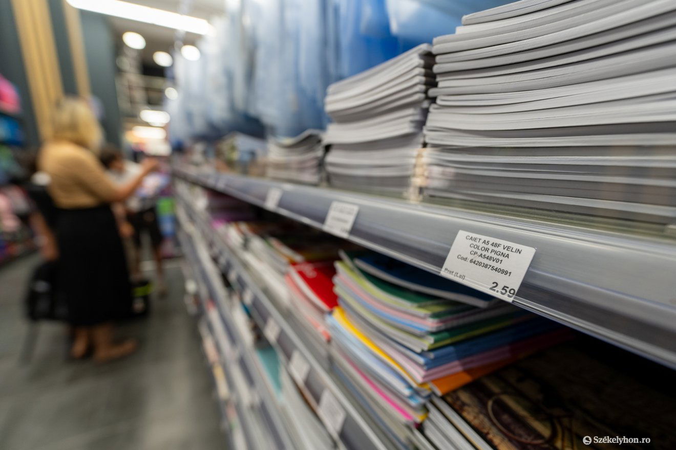 Nem csak tanszerekre, ruhákra és cipőkre is költhető az 500 lejes támogatás &bullet;  Fotó: Haáz Vince