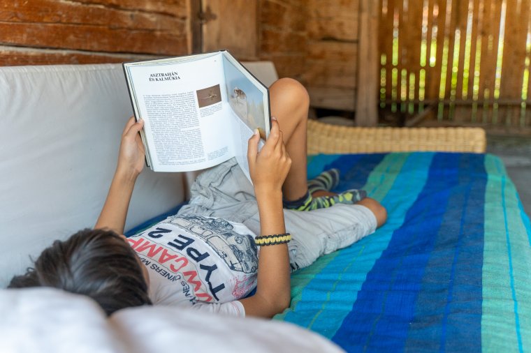 Olvasásnépszerűsítés TikTokon – az önkifejezés megváltozott tereiben is él a könyv, az irodalom iránti igény