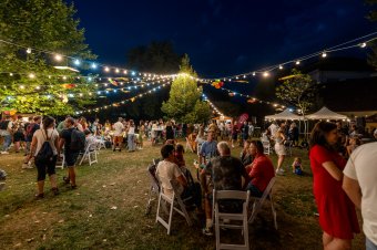 A Borkert sikerén felbuzdulva Borfesztivált terveznek jövőre