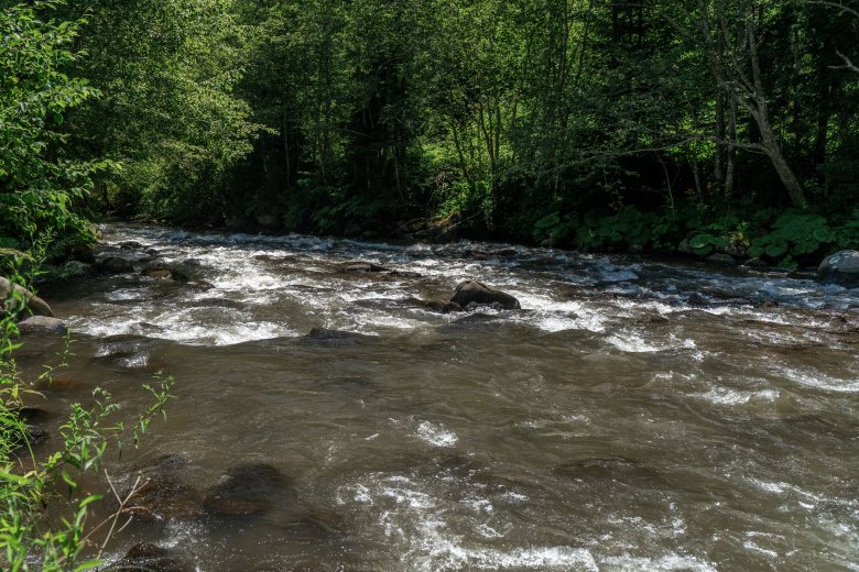 Gátakat bontanának le a halak érdekében (is)