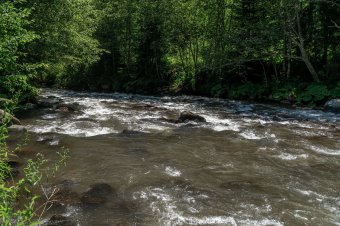 Gátakat bontanának le a halak érdekében (is)