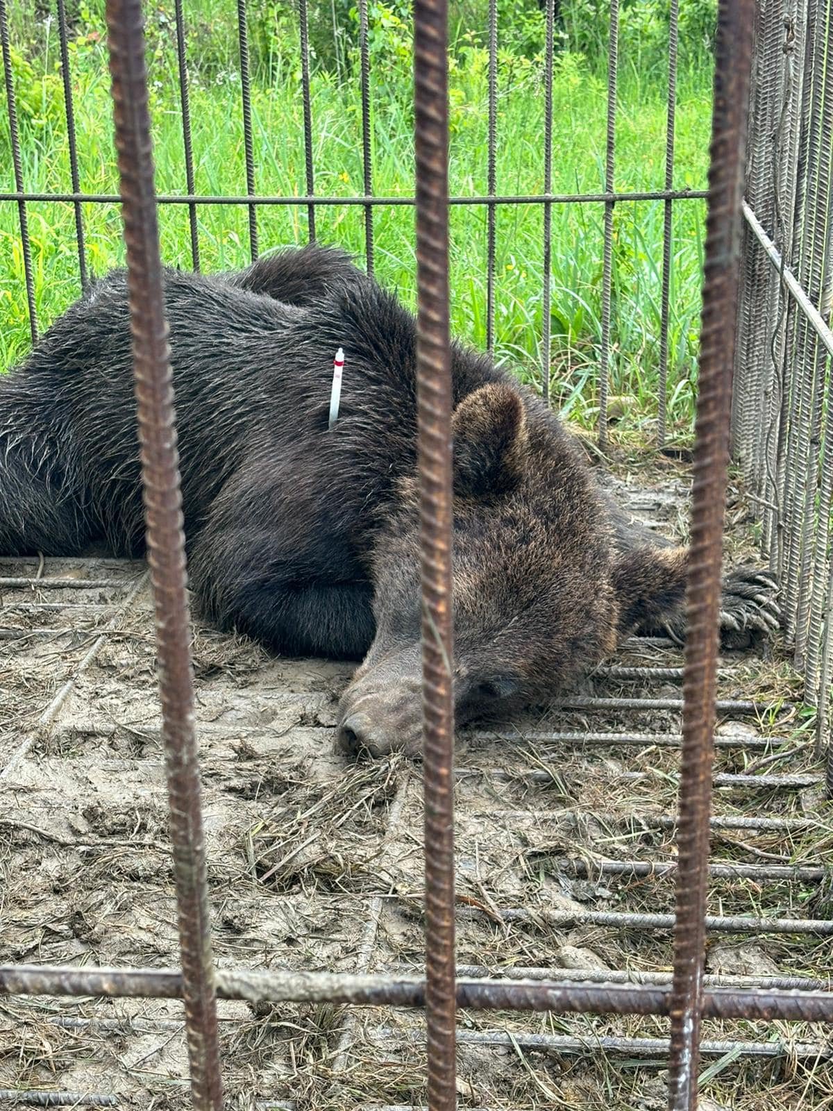•  Fotó: Bányai István közösségi oldala