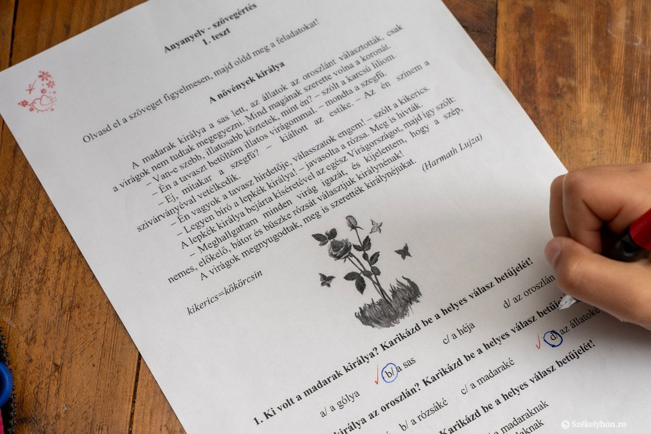 A tesztek lényege, hogy a szülő is meg tudja nézni, miként teljesít a gyerek egy teszthelyzetben •  Fotó: Haáz Vince