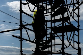 Közel 500, feketén foglalkoztatott alkalmazottat azonosított a munkaügy