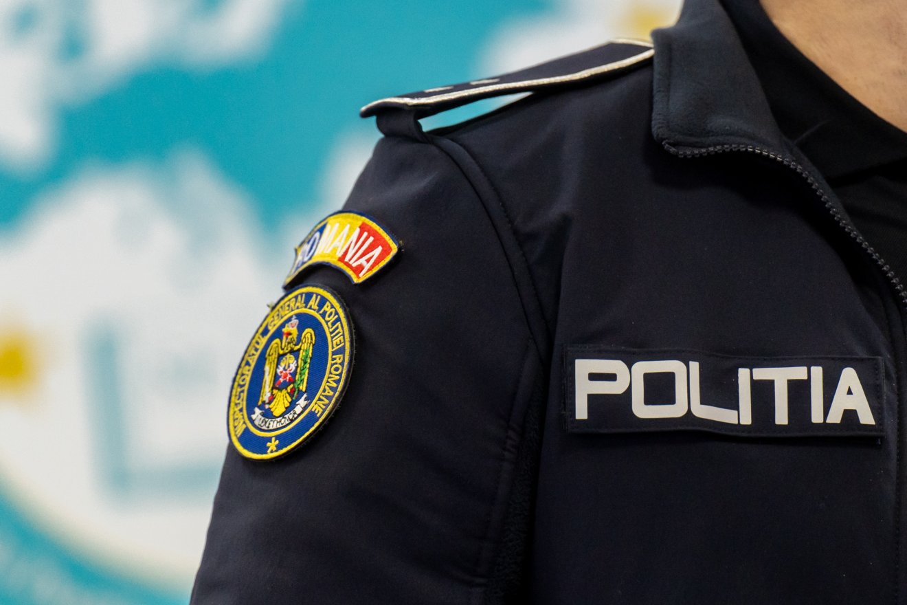 Több mint 400 szabálysértés volt az állatvédelem terén Hargita megyében