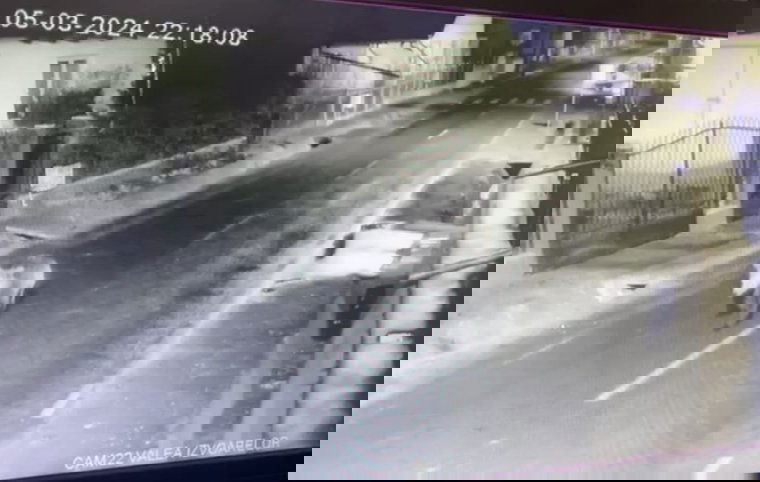 Első alkalommal láttak medvét ezen a településen