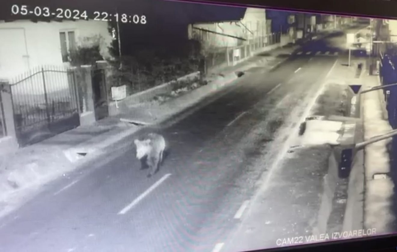 •  Fotó: Búzásbesenyői RMDSZ