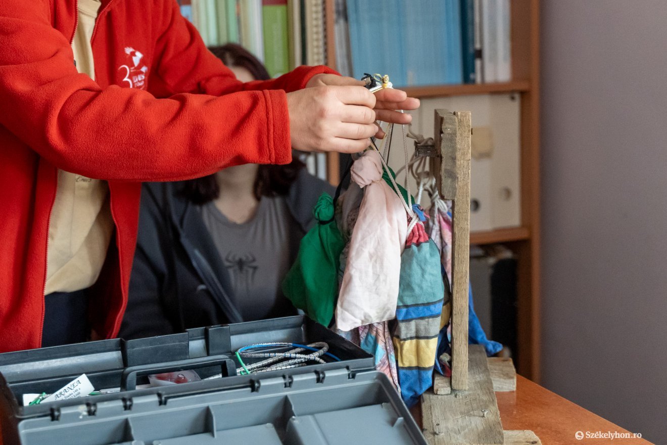 A zsákokba zárva várták a madarak, hogy szemügyre vegyék őket •  Fotó: Haáz Vince
