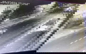 Első alkalommal láttak medvét ezen a településen