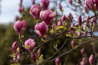 Eddig tart a tavaszi nyár – kijött a legfrissebb előrejelzés