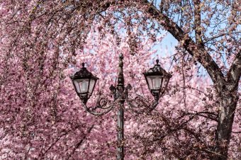 Mintha előrelépnénk egy évszakot – íme, a következő két hét időjárása