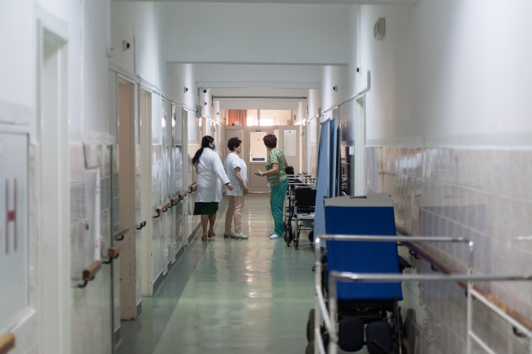 Rendkívül súlyos állapotban van a hegyimentő, akire medve támadt