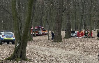 Fának ütközött, életét vesztette az idős férfi