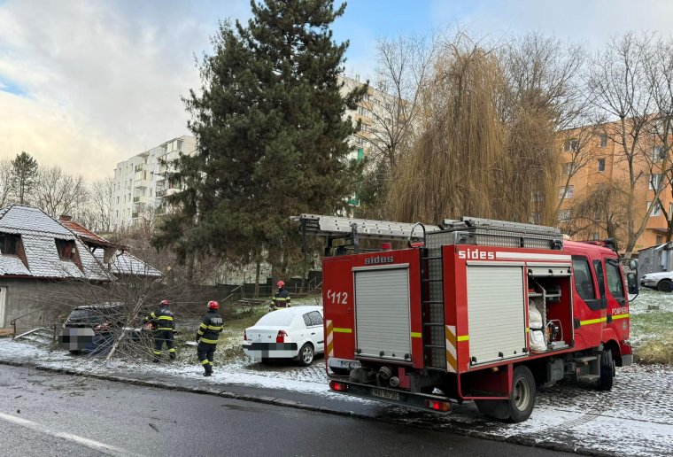 Fa dőlt egy személygépkocsira Marosvásárhelyen, viharos szélre figyelmeztetnek a tűzoltók