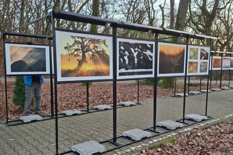 A legszebb fotók visszatértek az állatkertbe