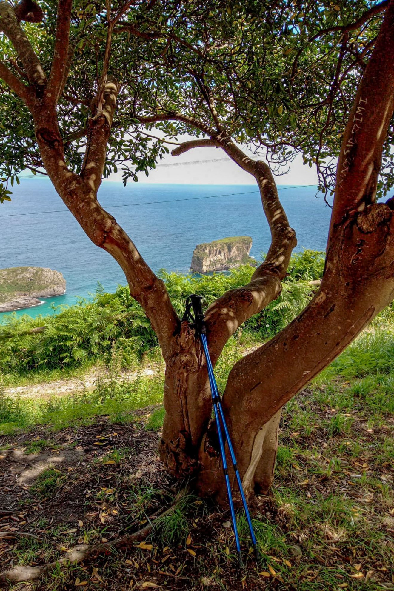 Az északi útvonalat választották Iruntól indulva, amiről később megtudták, hogy fizikailag az egyik legmegterhelőbb, de ugyanakkor a legszebb útvonal Santiago del Composteláig •  Fotó: Furó-házaspár személyes archívuma
