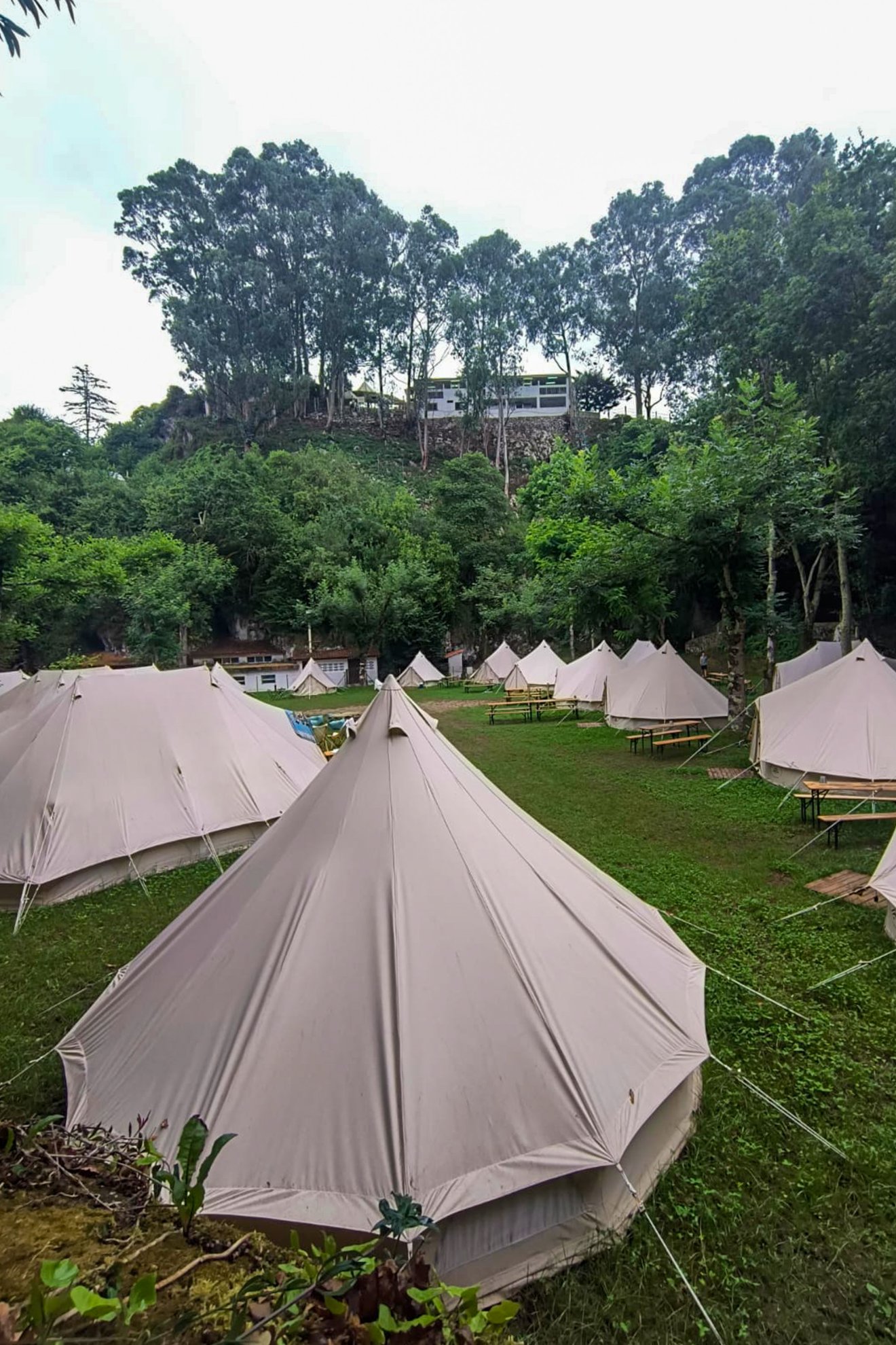 •  Fotó: Furó-házaspár személyes archívuma