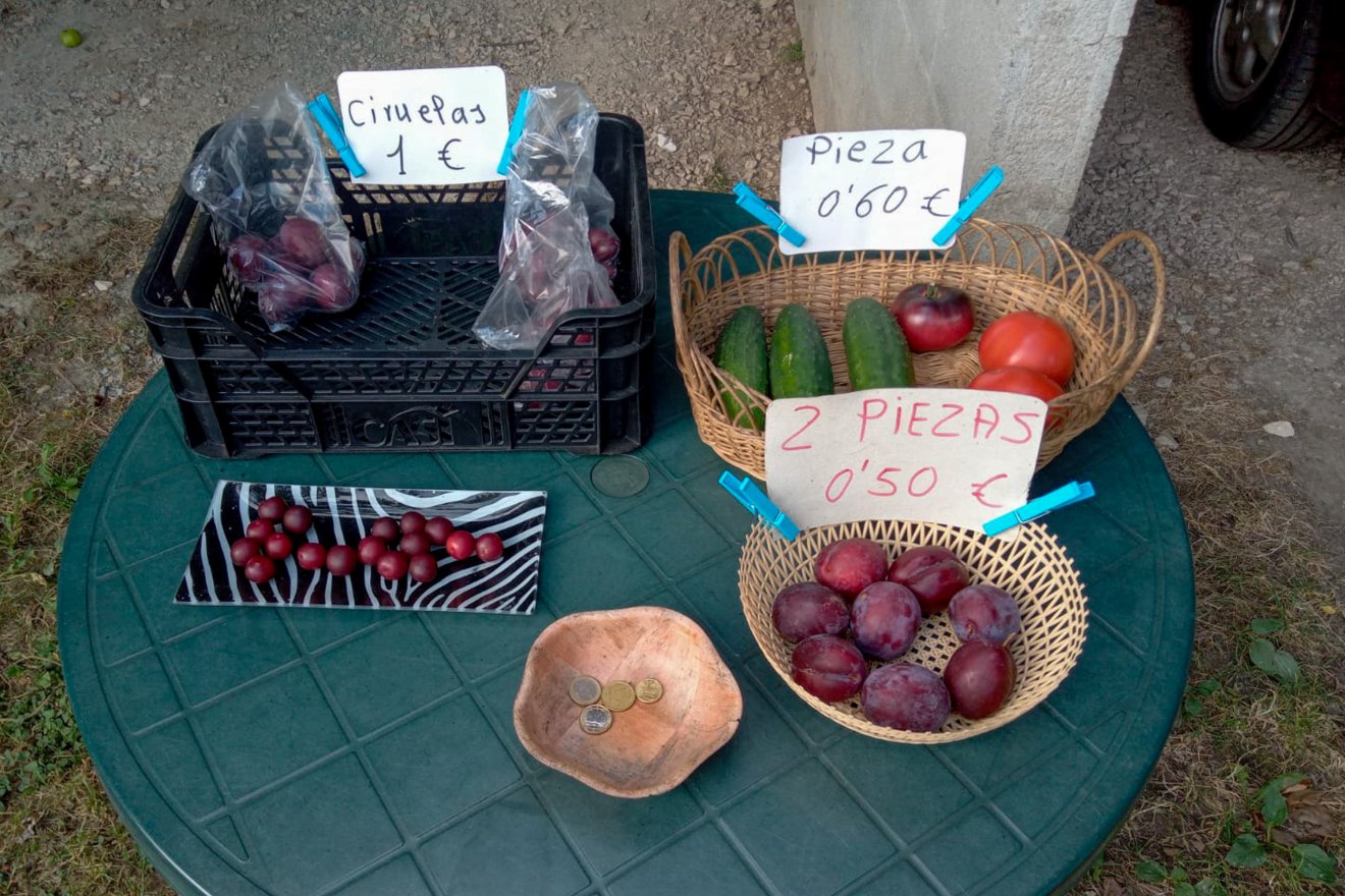 •  Fotó: Furó-házaspár személyes archívuma