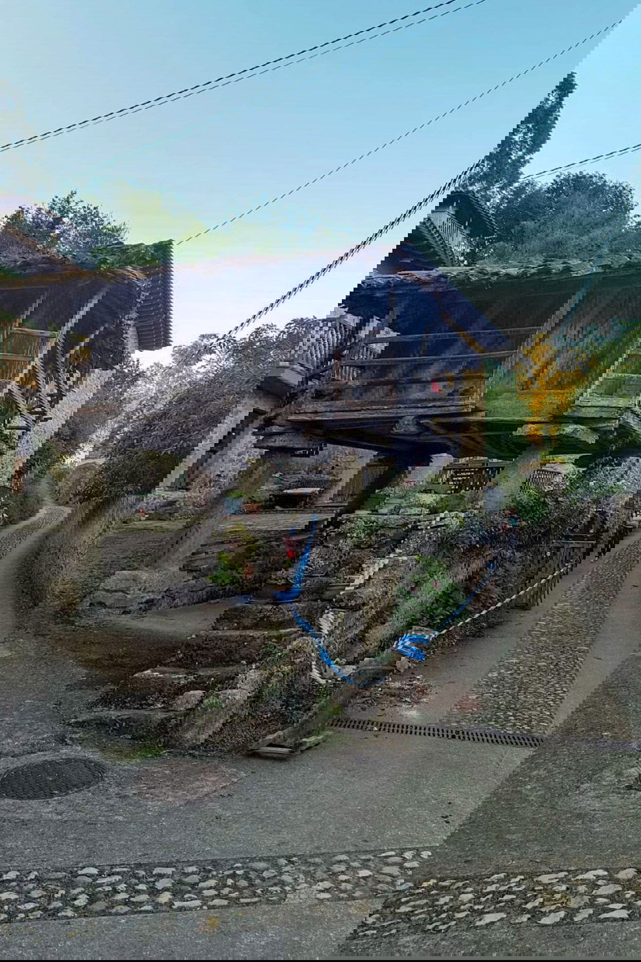 •  Fotó: Furó-házaspár személyes archívuma