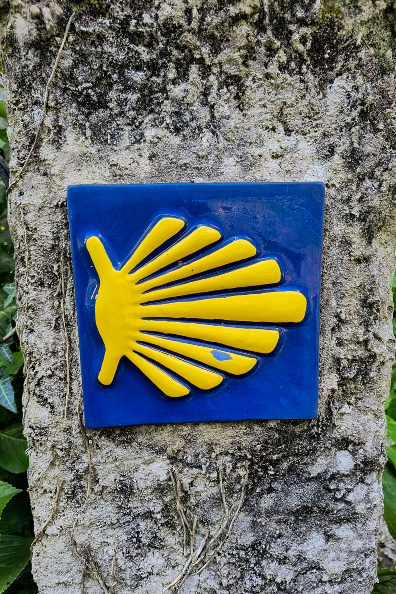 •  Fotó: Furó-házaspár személyes archívuma