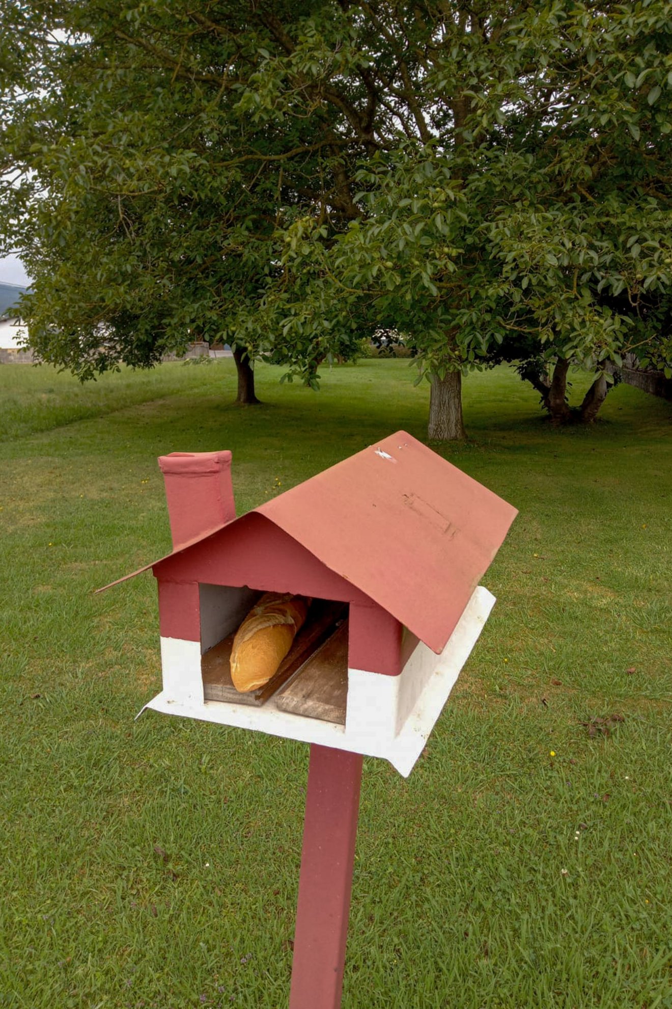 •  Fotó: Furó-házaspár személyes archívuma