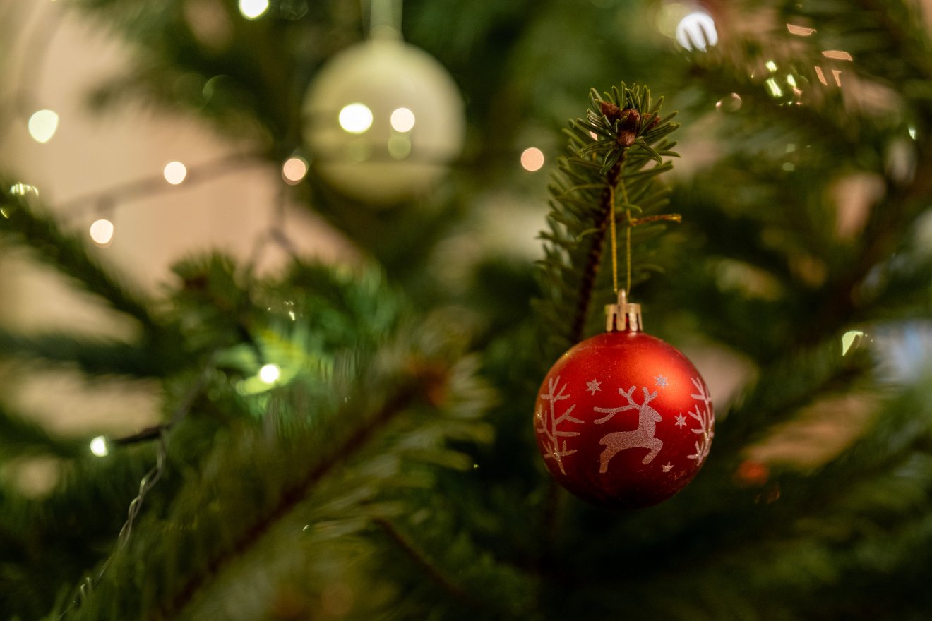 &bullet;  Fotó: Haáz Vince