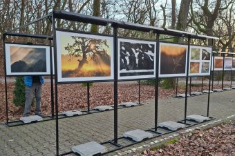 A legszebb fotók visszatértek az állatkertbe