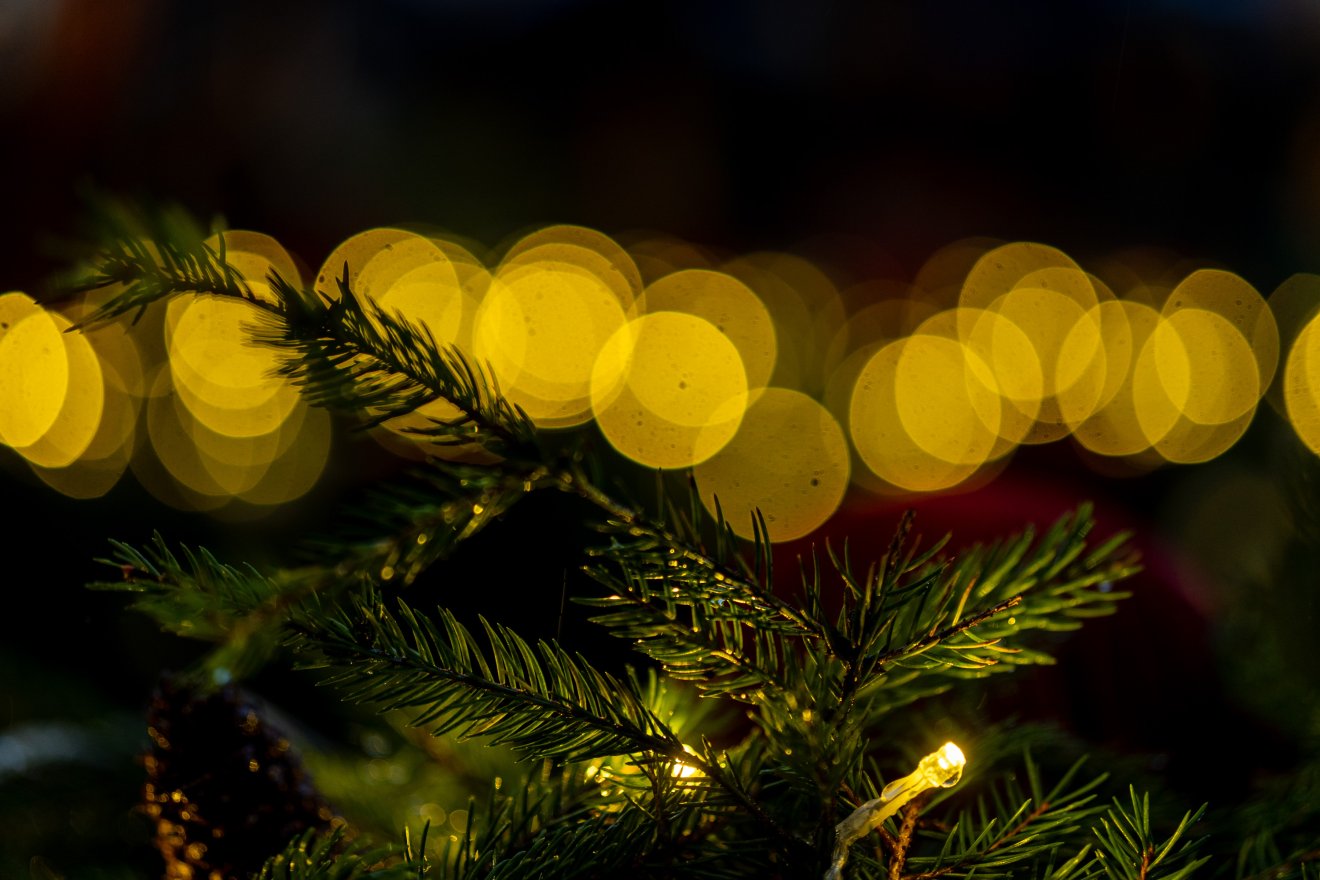 •  Fotó: Haáz Vince