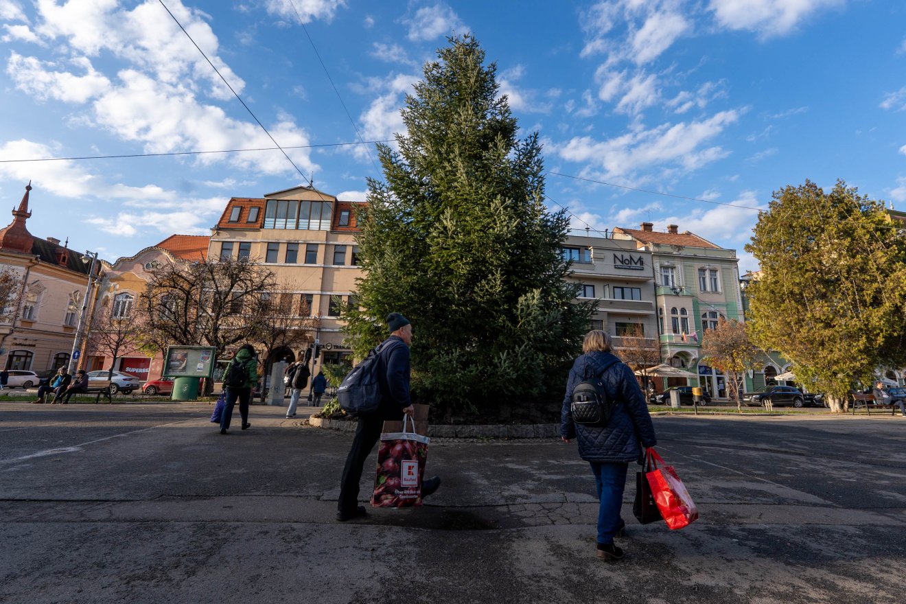 •  Fotó: Haáz Vince